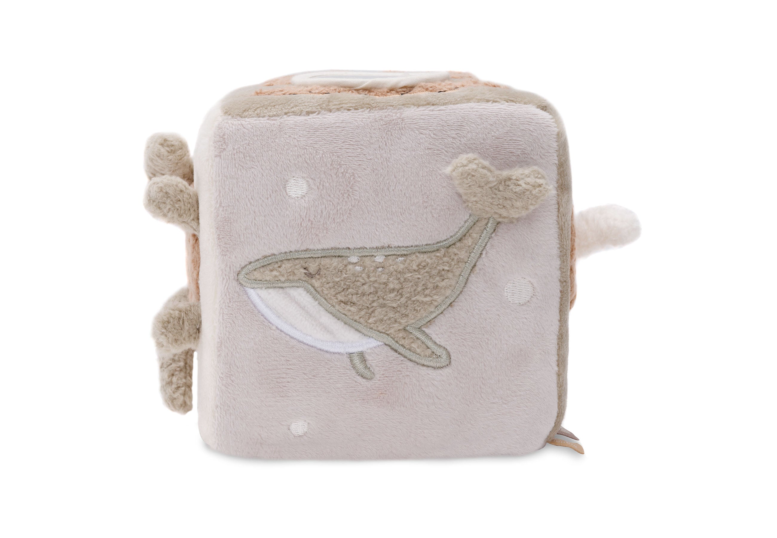 Cube d'activités Deepsea Jollein face étoile de mer
