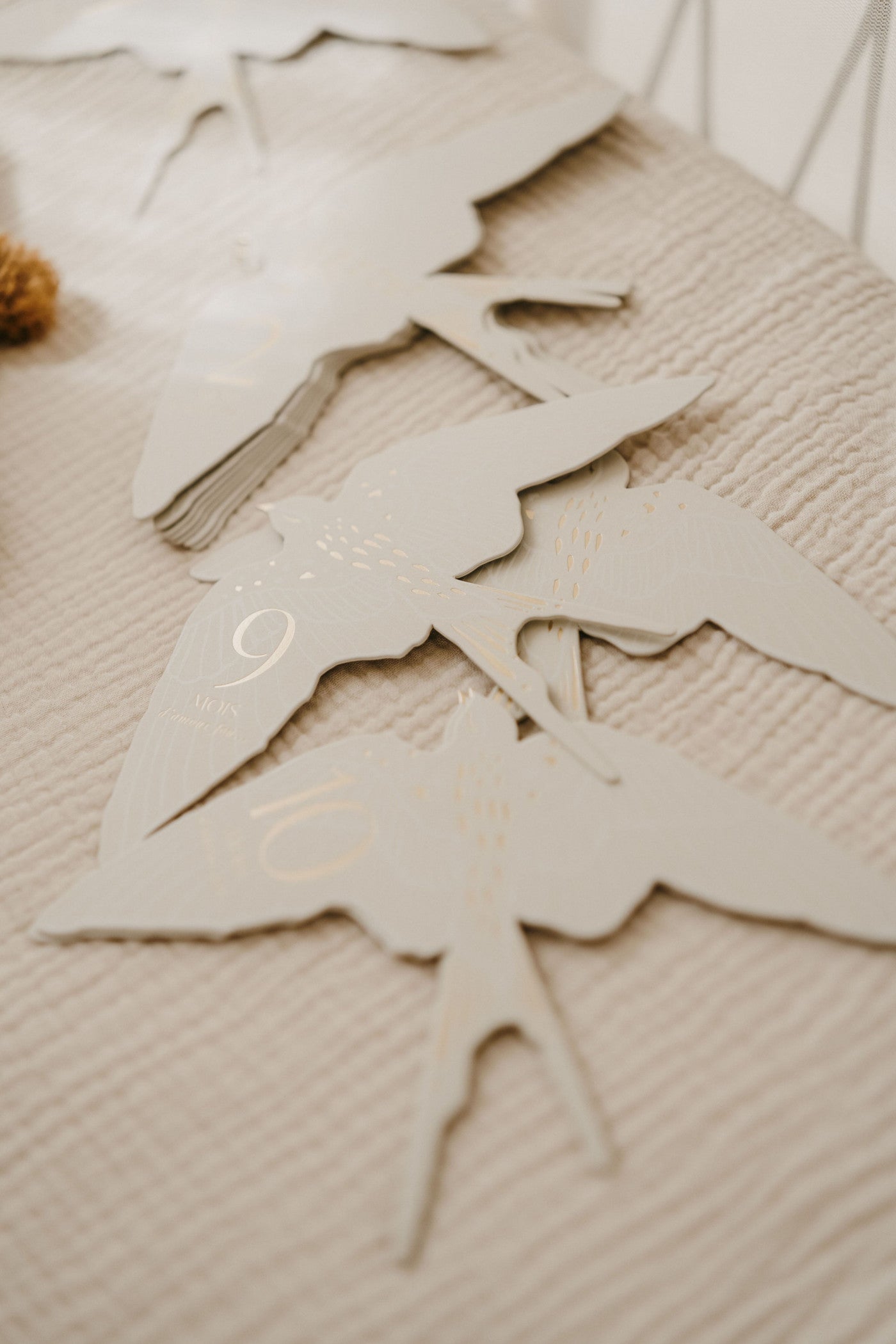 Coffret de 12 cartes étapes Birds
