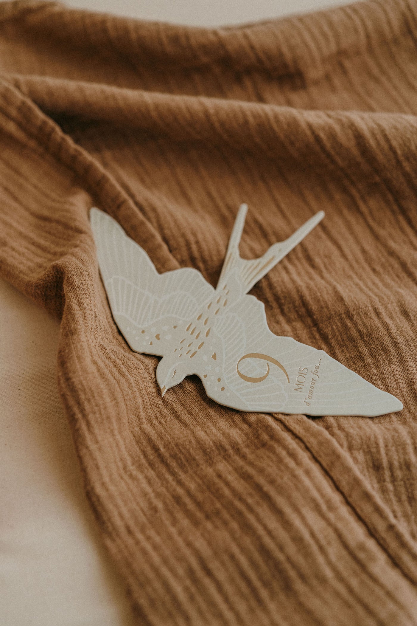 Coffret de 12 cartes étapes Birds
