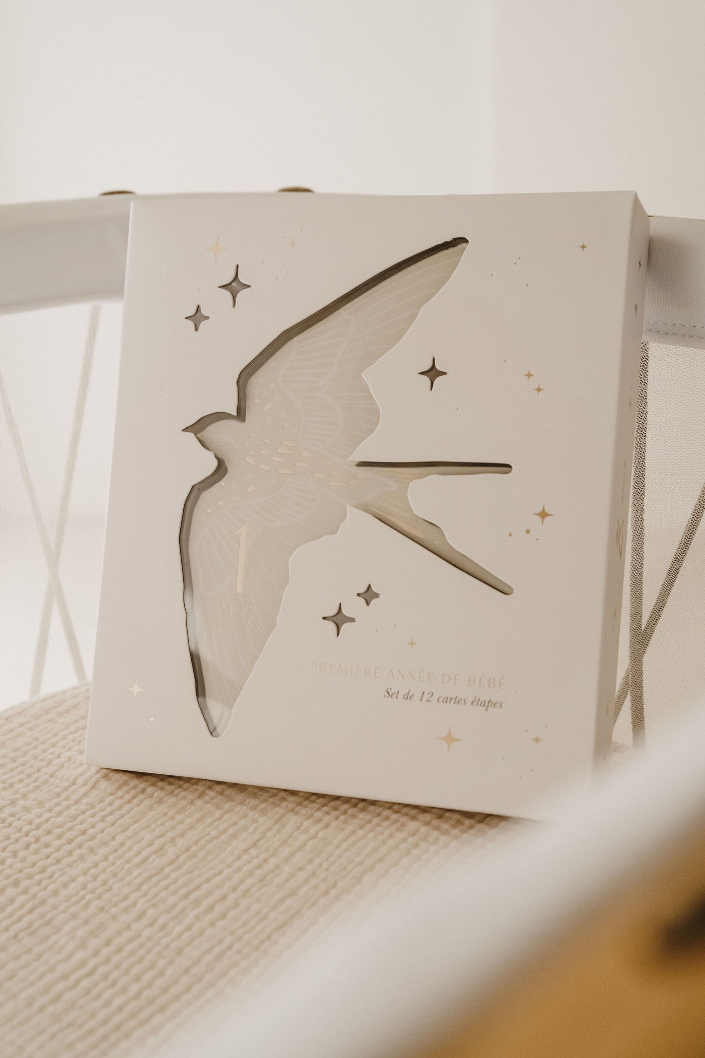Coffret de 12 cartes étapes Birds