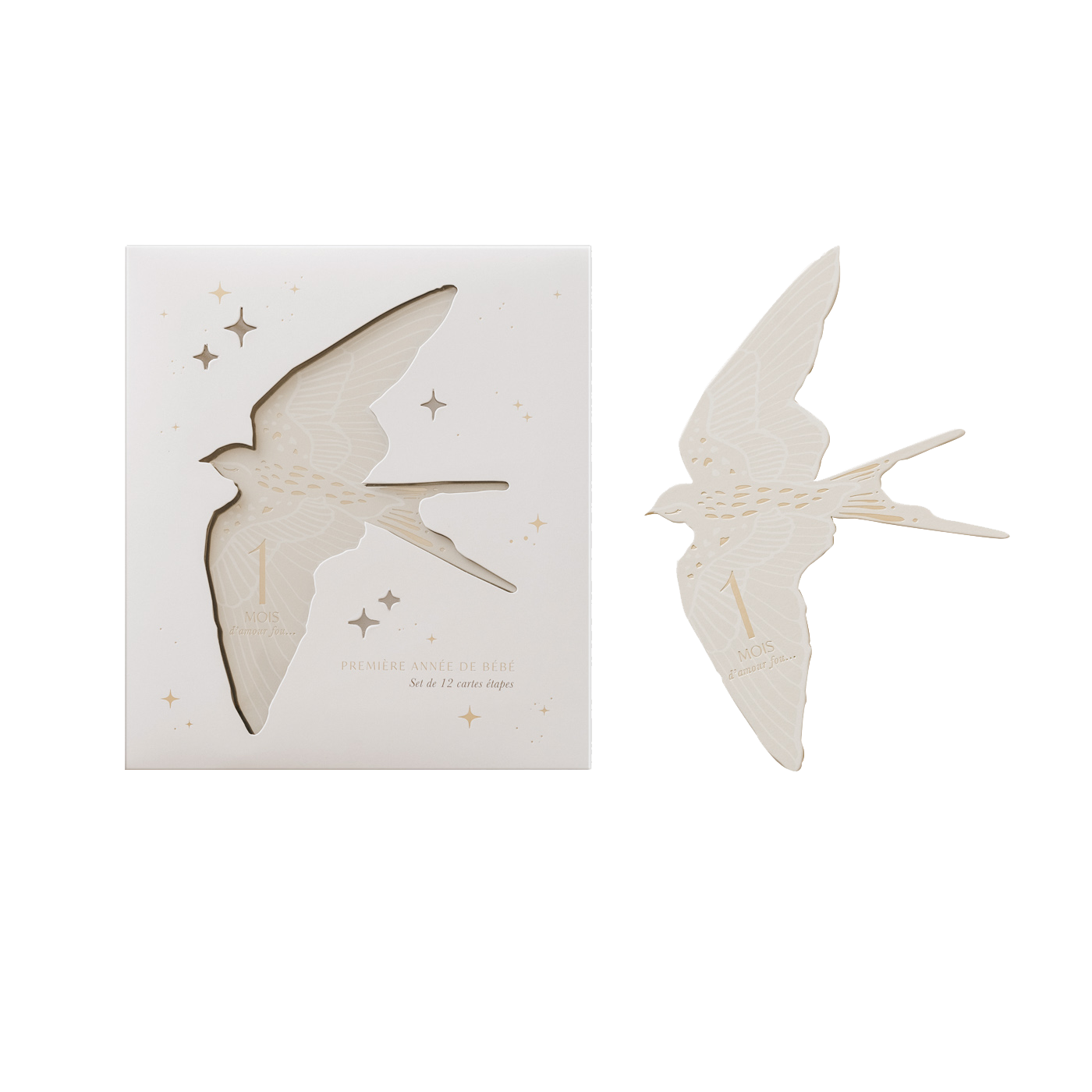 Coffret de 12 cartes étapes Birds