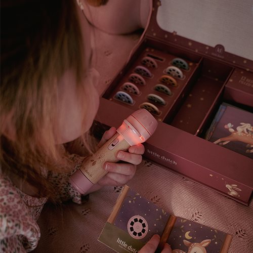 Livrets illustrés du coffret lampe à histoires Fairy Garden