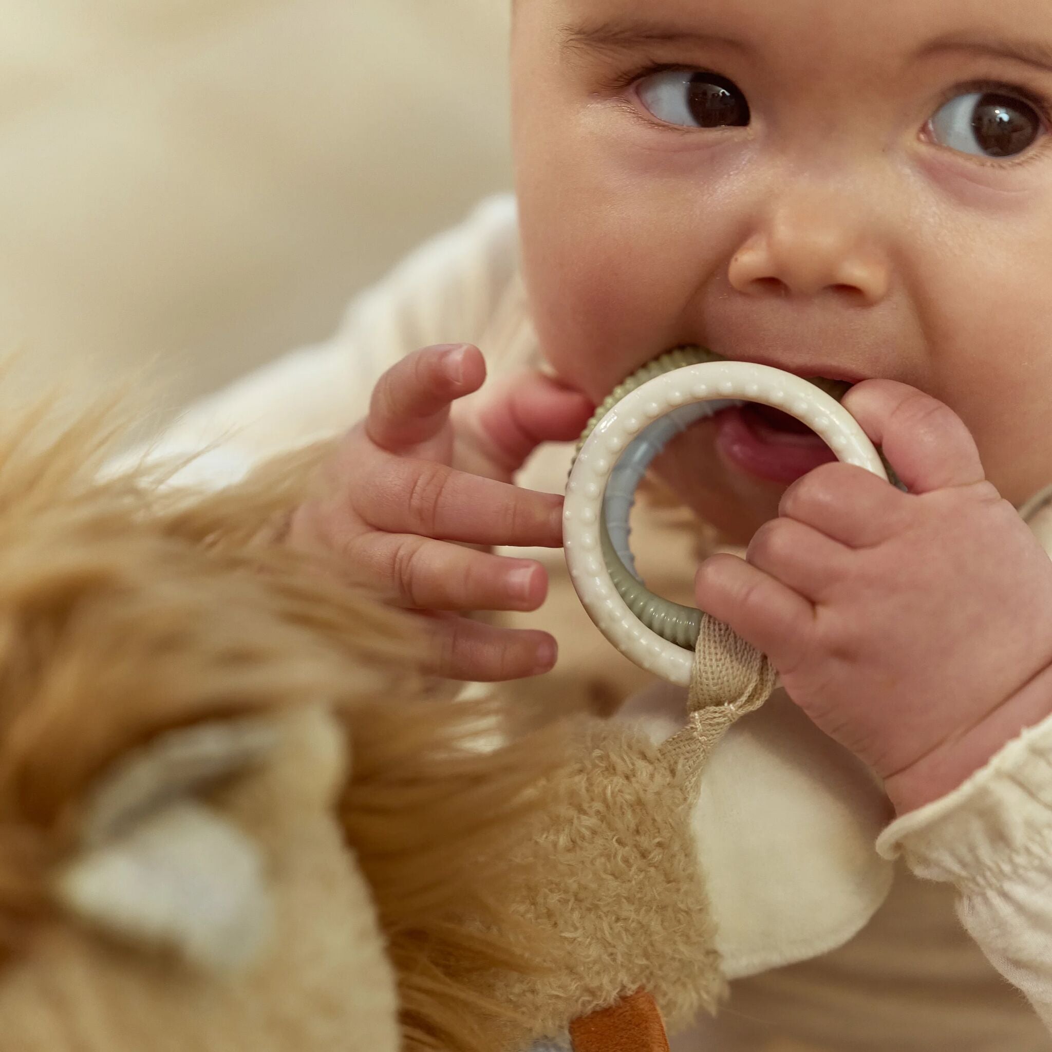 Peluche d'activités Lion en ambiance chambre de bébé