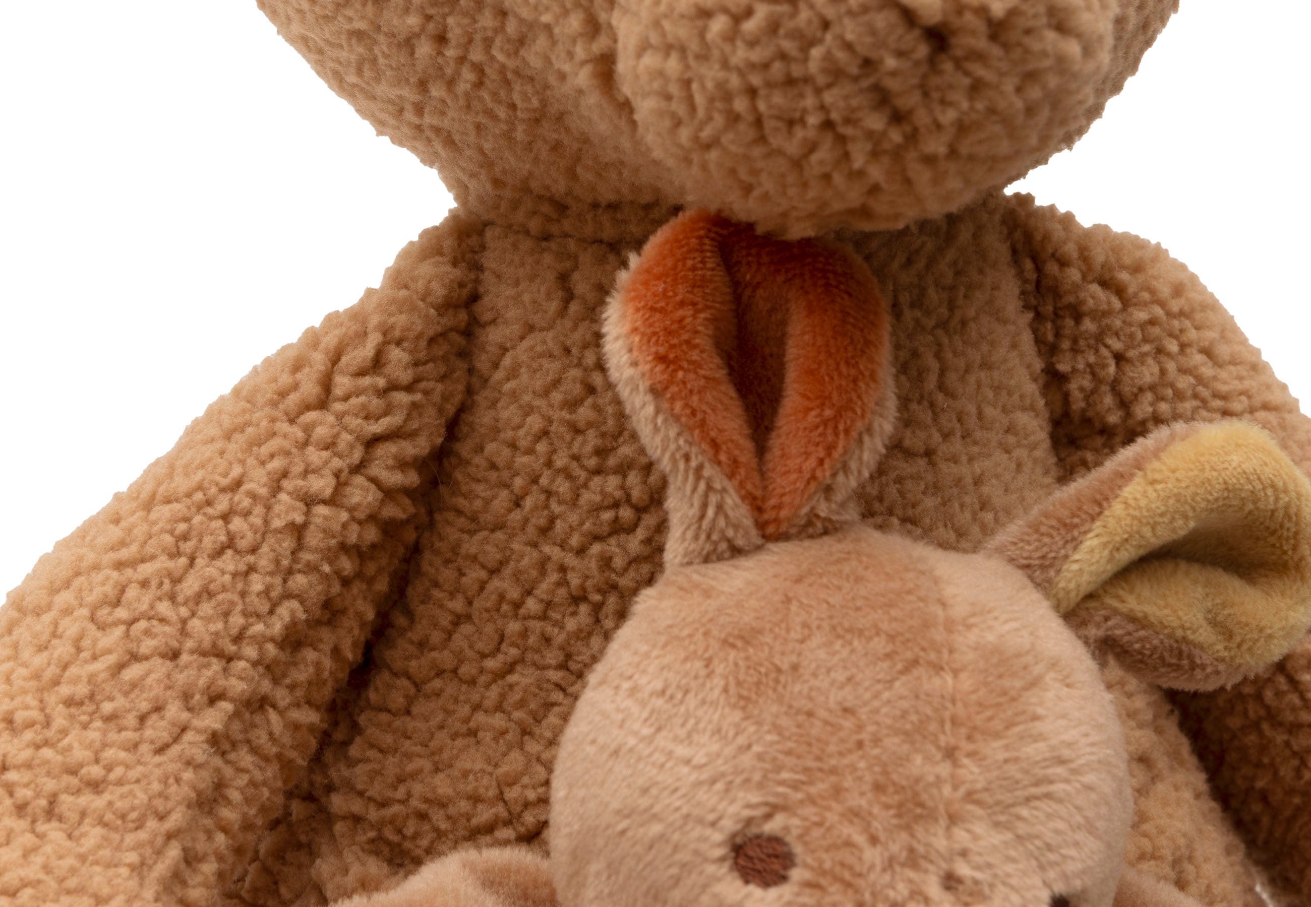Détail des oreilles du bébé kangourou