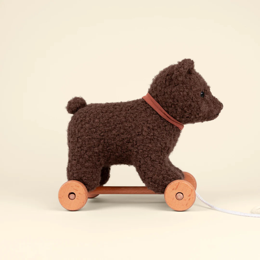 Raoul l'ours à tirer
