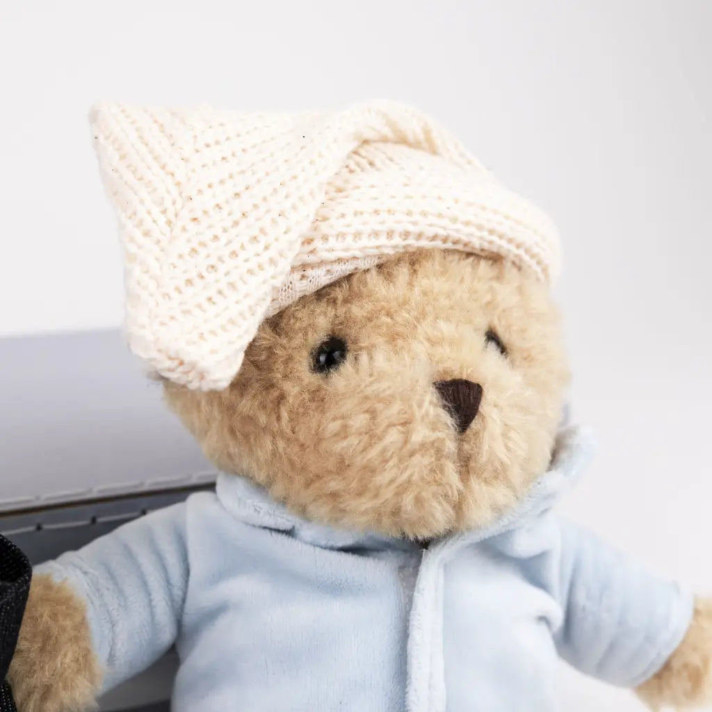 Morris l'ours avec vêtements dans une valise