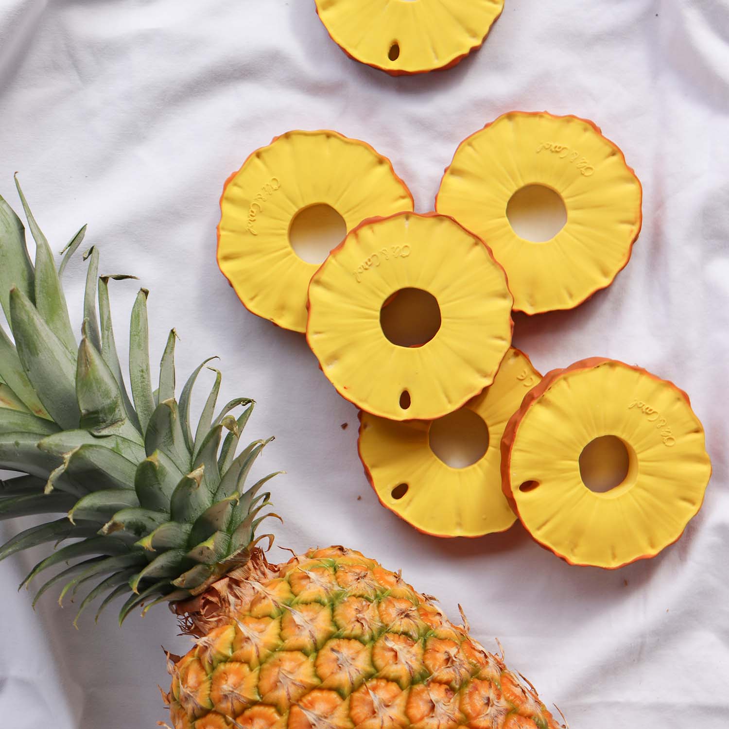 Ananas the Pineapple Anneau Dentition