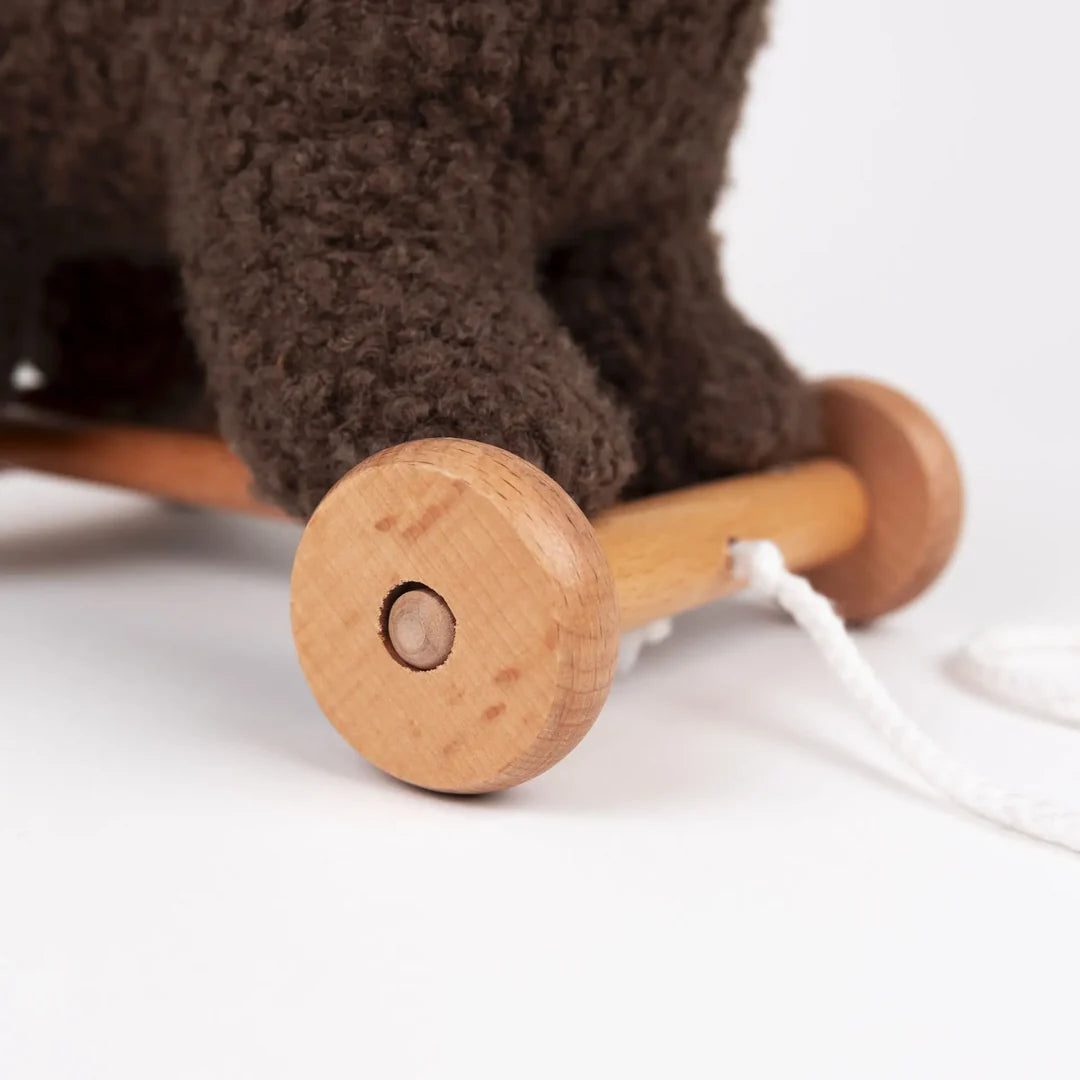 Raoul l'ours à tirer