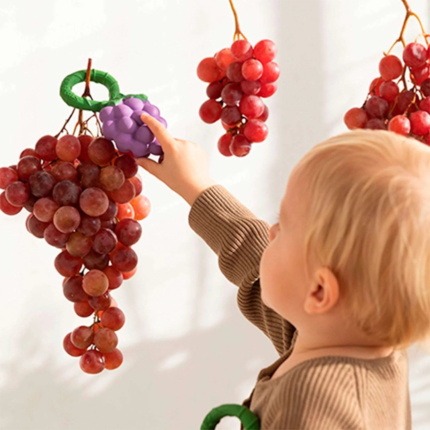 Grape Hochet Bébé